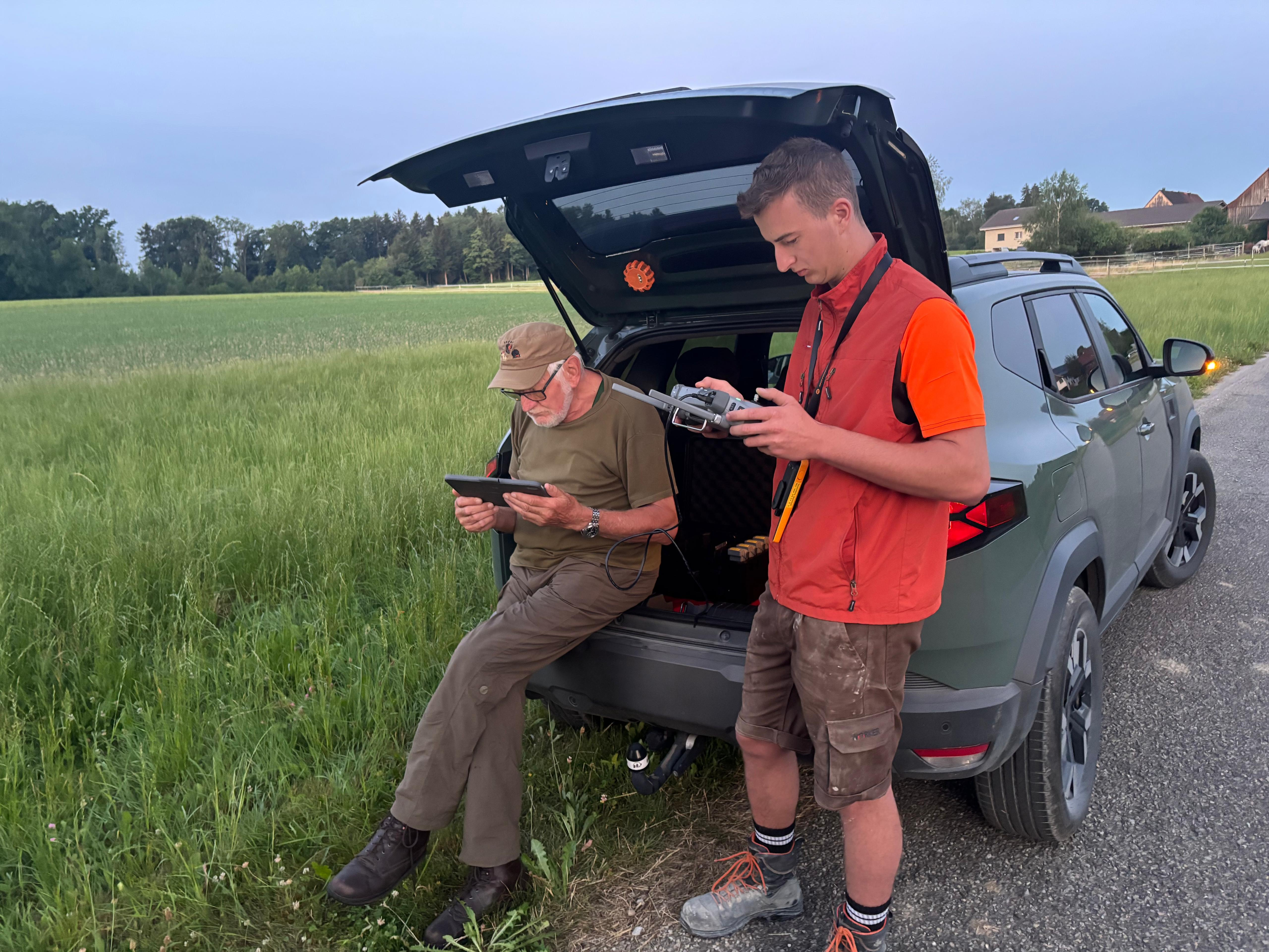 Rehkitz im Gras